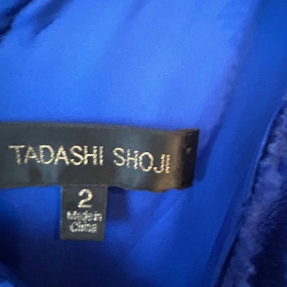 Tadashi Shoji Embroidered Lace with Ribbon Dress - Picture 3 of 3